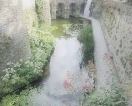 βπ¦Λπ·ΰ»πΏ. whispering garden .πΏΰ»π·Λπ¦β