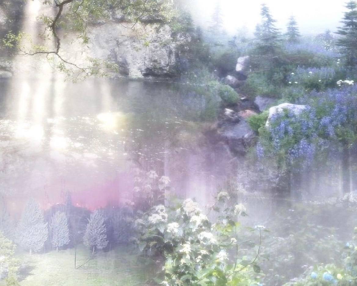 ⋆🦋˚🌷໑🌿. whispering garden .🌿໑🌷˚🦋⋆